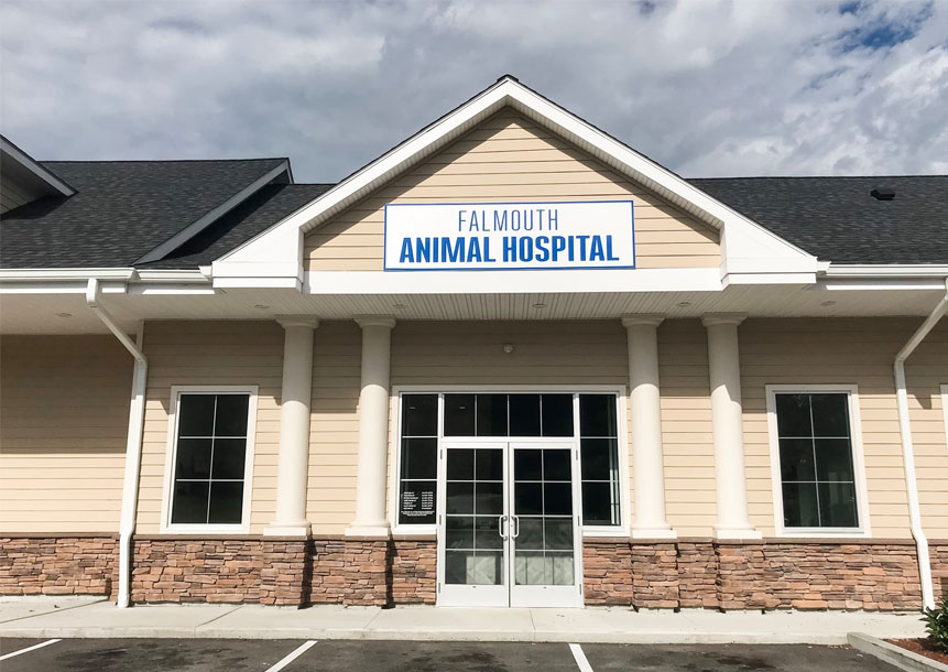 Carousel Slide 3: Falmouth Animal Hospital Exterior Front Entrance